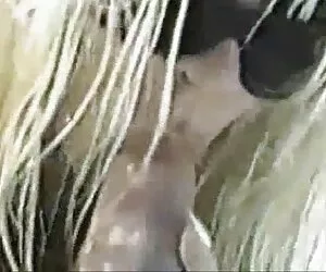 Pasangan cerita sex tante tante hot Jerman Di Rumah Pertama Video HD.