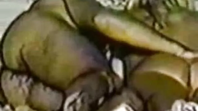 GTA lima porno Mod cerita sek bibiku permainan Tracey de Santa review, merokok, permainan cinta